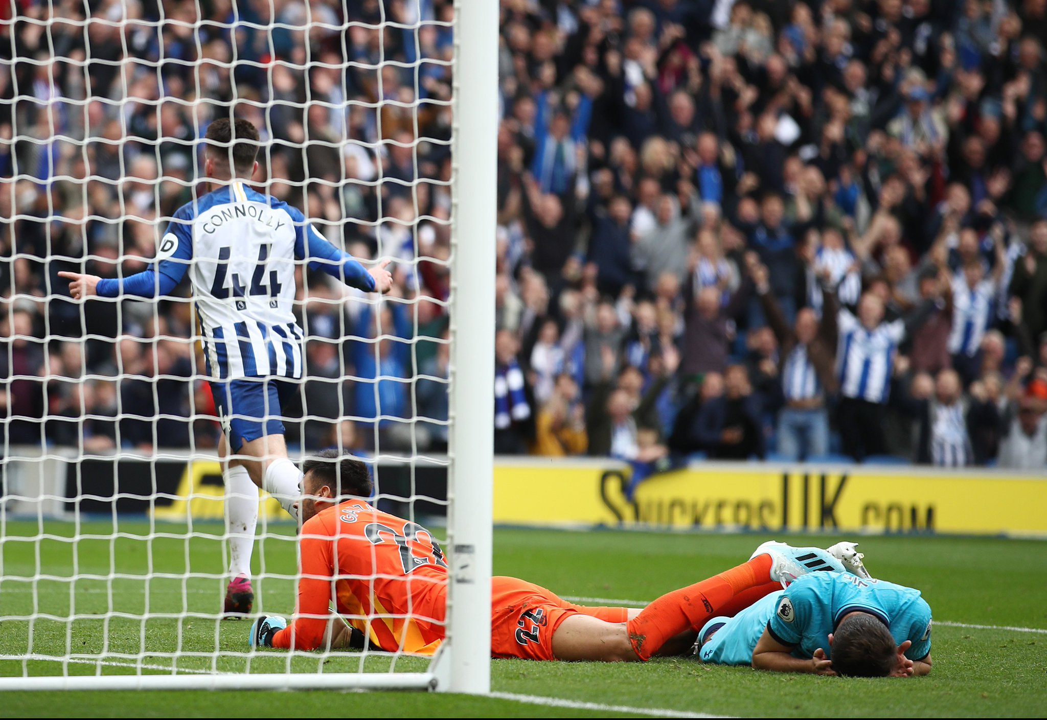 供了绝佳的 供了绝佳的